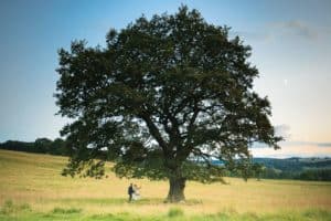 a couple on a swing on their wedding at heathy lea chatsworth estate