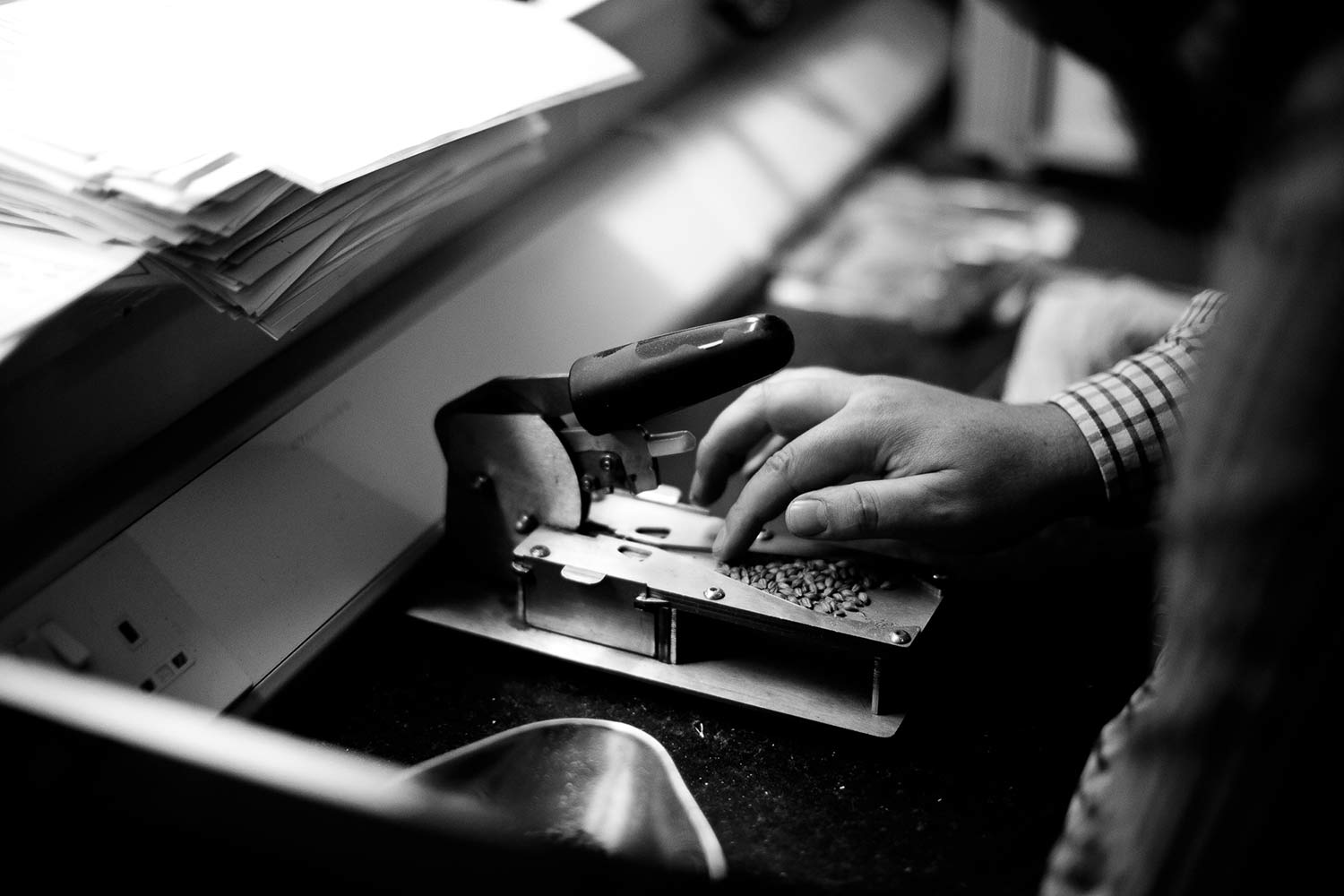 A quality control manager inspects malt samples at Bairds Malt in grantham.