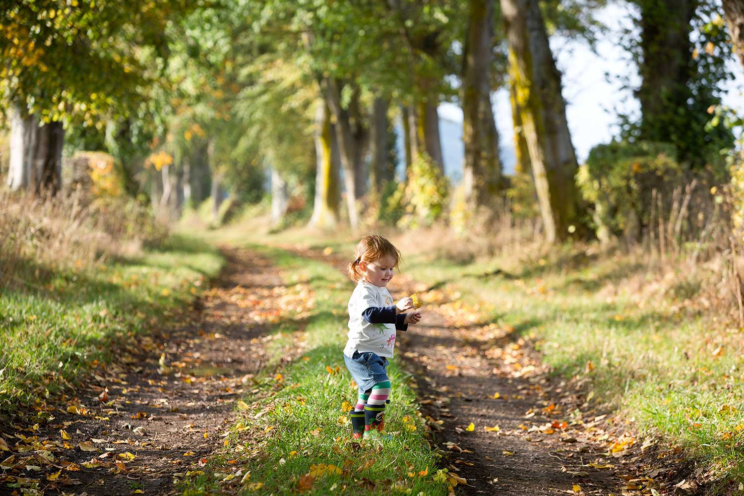 toddler-collecting-leaves