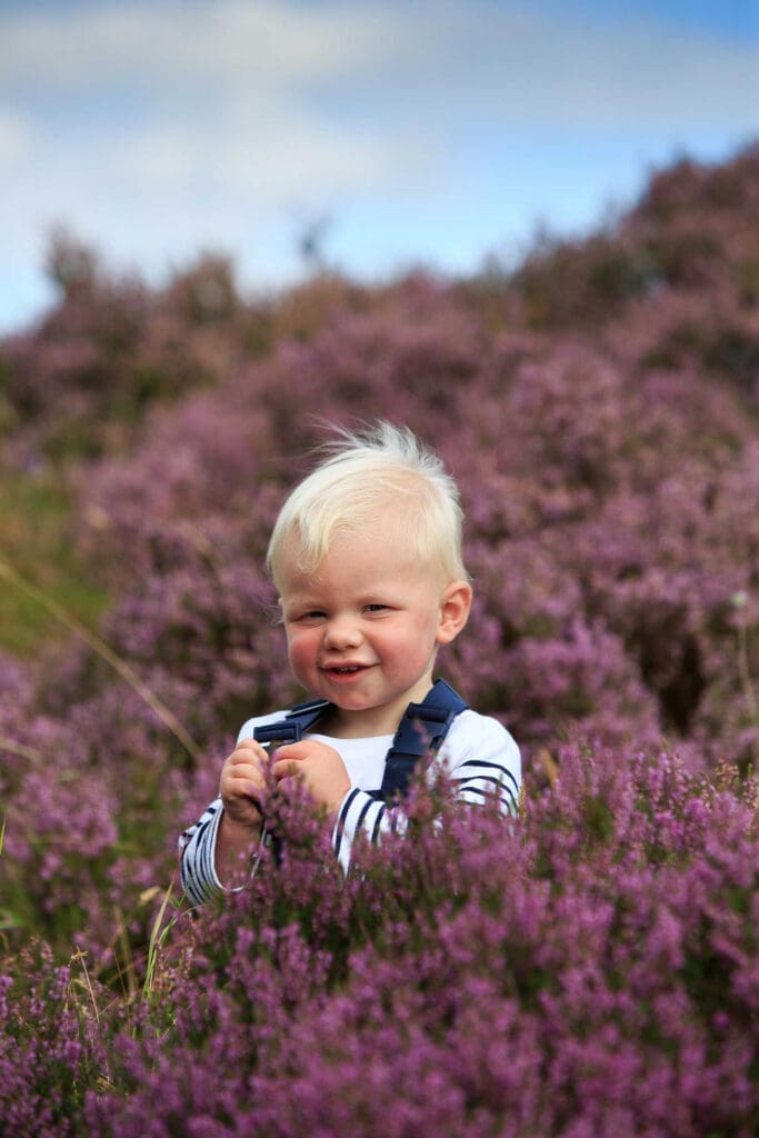 toddler in heather photo
