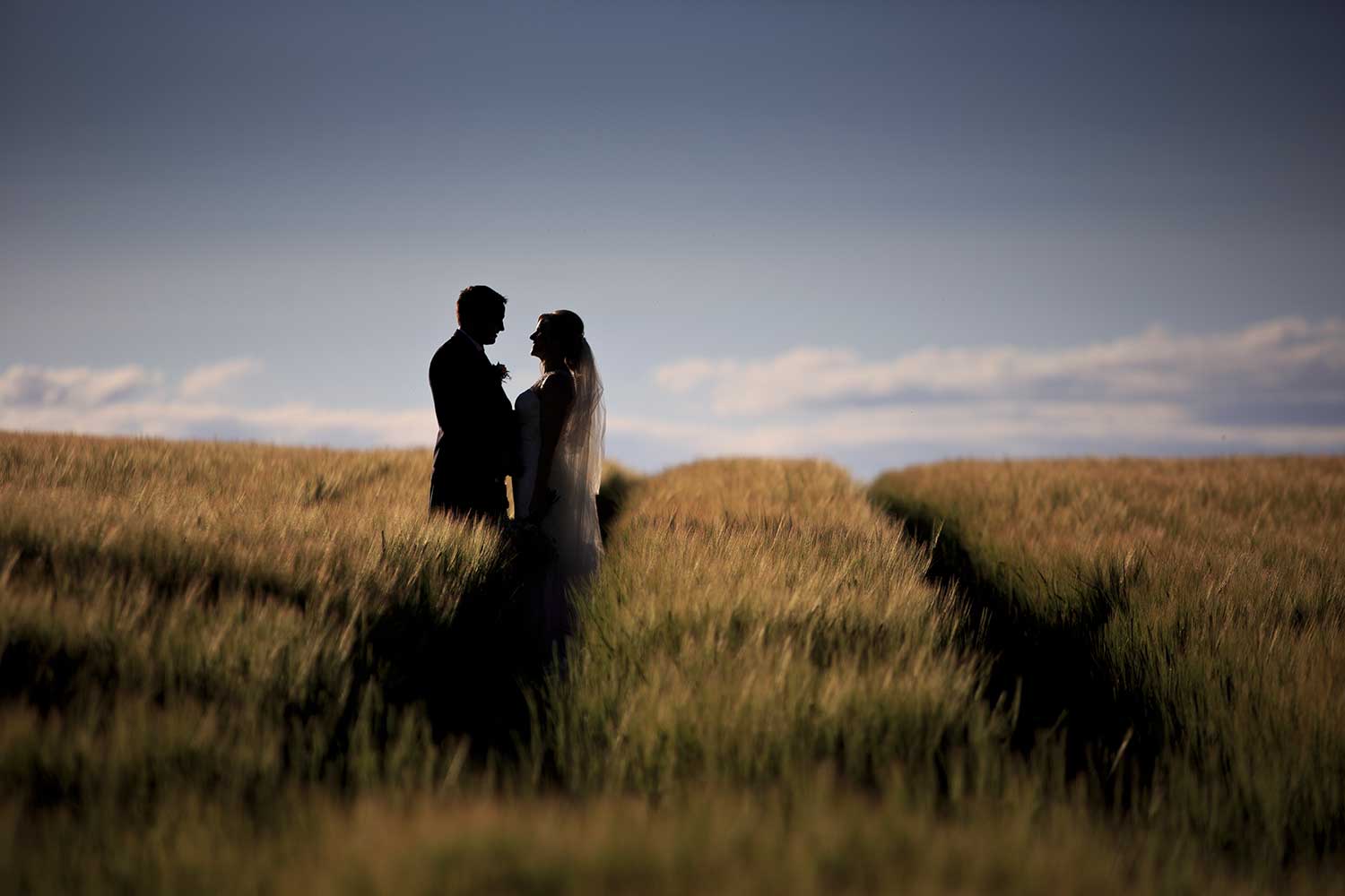 Farm sunset wedding Farm sunset wedding