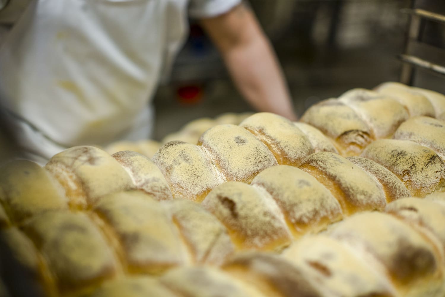 Images shot for Harry Gow's March