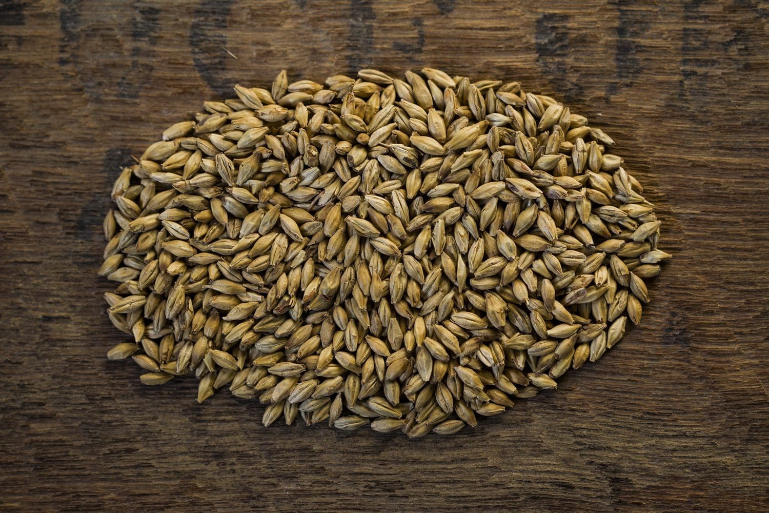 Malt Sample