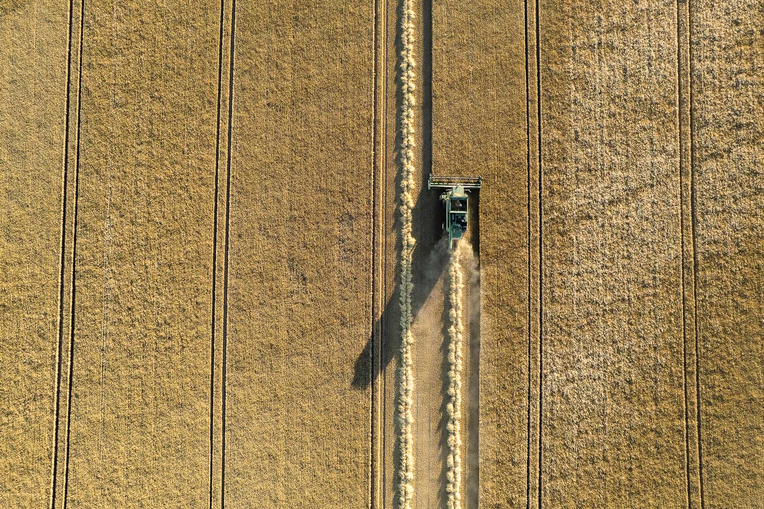 Barley Harvest Aerial
