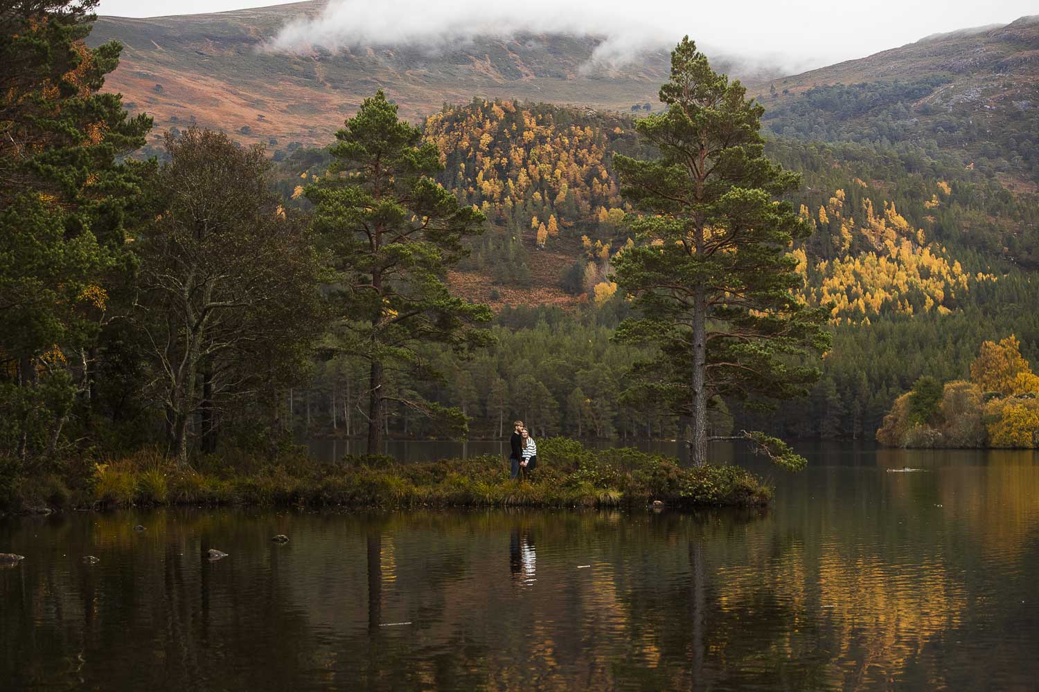 Loch An Eilean Autumn Portrait